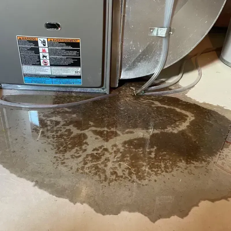 Appliance Leak Cleanup in Edmonton, KY